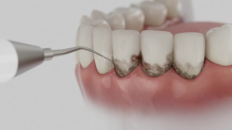 Reliable Dental contractor in New Palestine, IN by Dentist Open Now